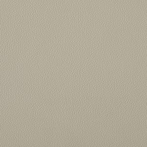 6. Atlas Beige 5509 (vernasca) vinyl