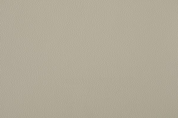 6. Atlas Beige 5509 (vernasca) vinyl